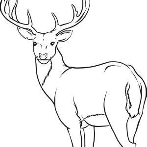 Best disney attractions for kids. Deer Coloring Page for Kids | Coloring Sun --> For the ...