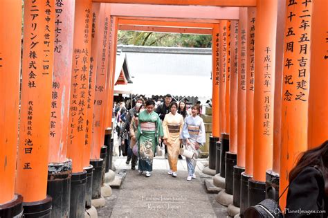 A little break from tokyo. Fushimi Inari-taisha, Kyoto Japan