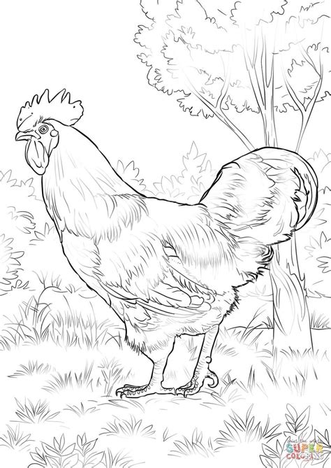 1060 x 1500 file type: Rooster Coloring Pages For Adults at GetColorings.com ...