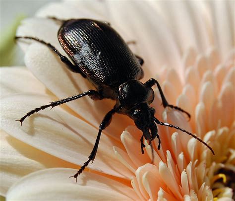 Neulich im garten garten gartenliebe gartengluck sommer. Neulich im Garten