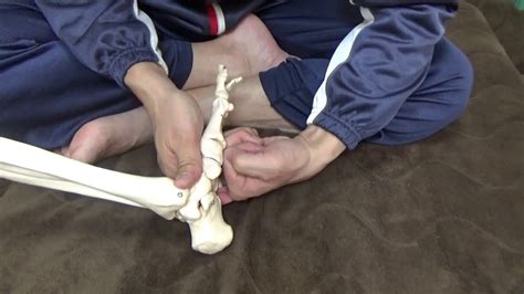 Самые новые твиты от ポルノのつぶやき (@pornyjp). 足の甲の整体足の甲が高いのを下げる模型を使って説明 - YouTube