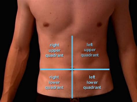 Technically, a quadrant chart is a scatter chart divided into four quarters (quadrants) to make the visualization more this article explains how to create a basic quadrant chart as well as configure settings that are specific to the type. Abdominal Quadrants Labeled / Pin On Anatomy ...