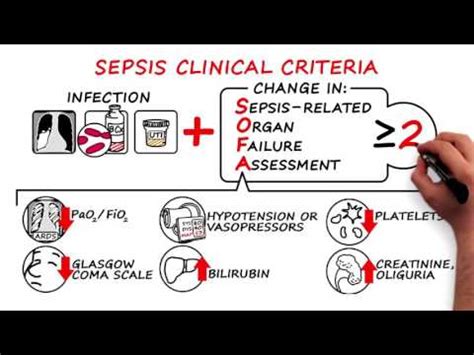 You can also add a definition of sepsis yourself. Septicemia definition | septicemia definition is ...