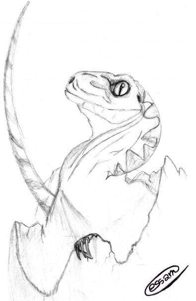 Solange lass ich die outlines hier in der gallery rumgammeln, und. Raptor Drawing at GetDrawings | Free download