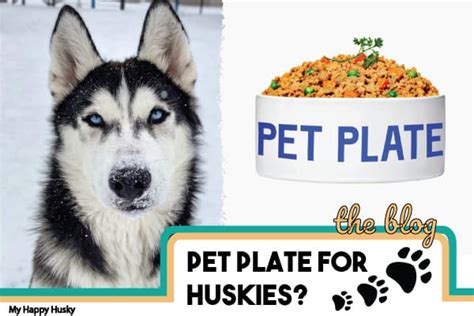 They are given fish oil as well. Pet Plate Reviews | Good Food For Siberian Huskies? - My ...