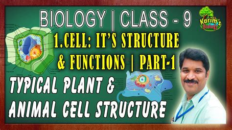 Animal cells do not have a cell wall, but they do have a plasma membrane. Typical Plant and Animal Cells || Class - 9 || AP, TS ...