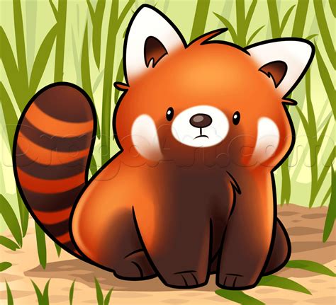 Drawing the red panda is simple to do and is perfect for beginners of all ages. How To Draw A Red Panda by Dawn (With images) | Panda ...