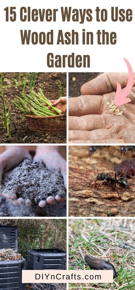 Horticultural charcoal also assists fertilizing agents, such as compost, by preventing nutrients from leaving the from the soil when it rains. 15 ways you can use wood ash in your garden (tips by ...
