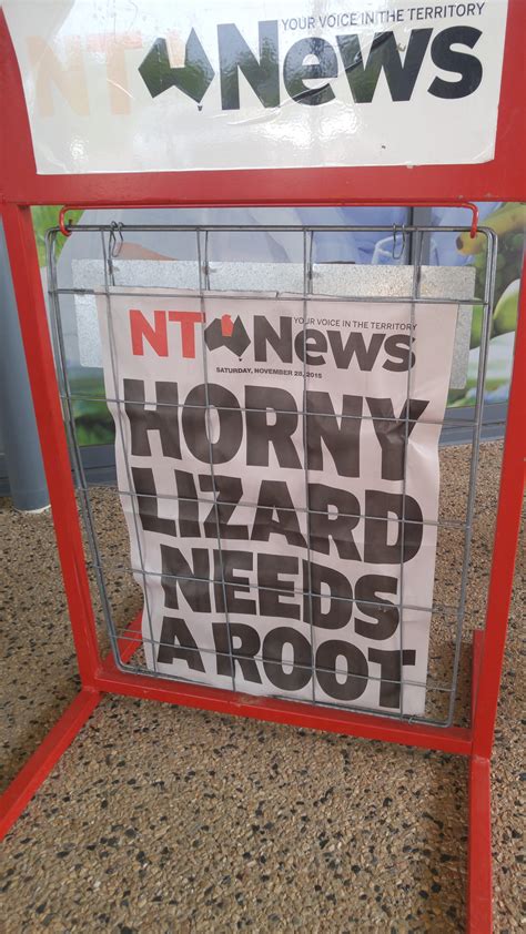 The nt news most hilarious headlines. Selling papers all day and only just realized the headline ...