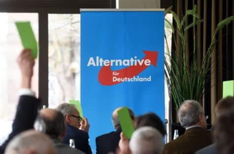 Interaktive wahlkarte mit allen ergebnissen aus gemeinden und kreisen. Kommunalwahl in Hessen: Jubel bei der AfD - Politik ...