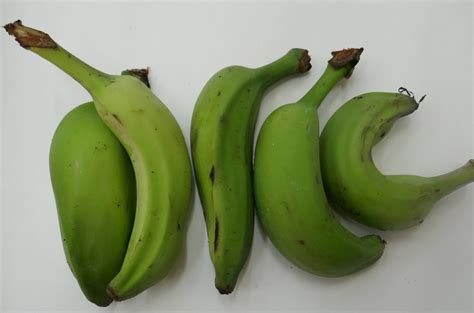 495 banana recipes | banana indian recipe collection. Lady Finger Banana Recipes - Why You Should Eat Green Banana Starch Goodnessme : Looking for one ...