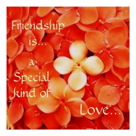 Read tangerine from tangerine the book quotes the story book of quotes by 123haha321 ( alexis) with 2, 653 reads. Friendship Quote Tangerine Orange Blossoms | Friendship quotes, Happy valentine day quotes ...