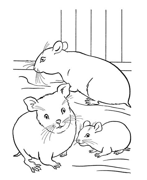 Many people adopt hamsters because they are so cute and funny. Pet coloring page | a family of hamsters in a cage from ...