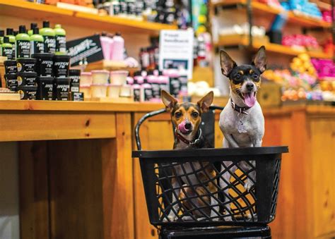 Over the last 30 days, pet friendly campgrounds in michigan have been available starting from $52, though prices have typically been closer to $109. Pet-Friendly Stores | Pet friendly stores, Pets, Dog friends