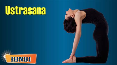 What we love about camel pose is that, when performed correctly, nearly all the major muscles of our bodies are being stretched. Ustrasana | Camel Pose Yoga | Asana Tutorial in Hindi ...