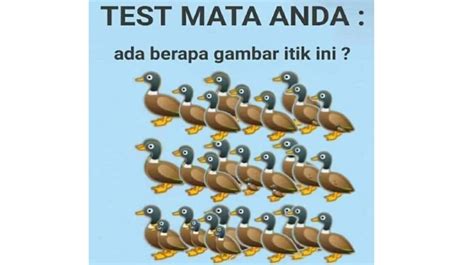 Tes mata anda ada berapa itik. Anda Hebat Kalau Tahu Jumlah Bebek di Gambar Ini, Netizen ...