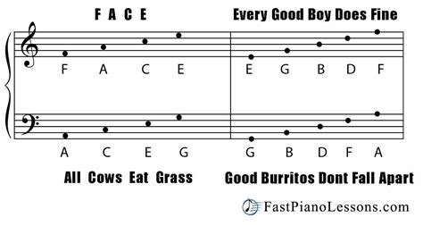 Learning to read the notated language of music is not really any harder than learning any other technical jargon and skills. Learn to Read Piano Music Quickly with These Acronyms ...