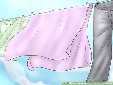 My house is kept clean, i change the sheets once a week, dust and steam mop the floor and use mr. Remove Musty Smell from Clothes | Clothing smell, Mildew ...