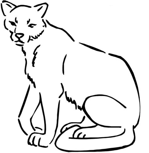 Or 4 payments of $35.00 by ⓘ. Puma coloring pages to download and print for free