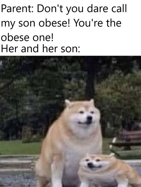 The meme typically consists of a picture of a shiba inu dog accompanied by multicolored text in comic sans font in the foreground. Fat Doge Meme / Heck Fat Shibe Doge Greeting Card By ...