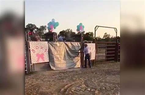 Check out this amazing and emotional compilation of gender reveals that will make you smile and cry!blue and pink cakes and cupcakes, the. Gender Reveal With a Rodeo Bull is the Most Country Thing ...