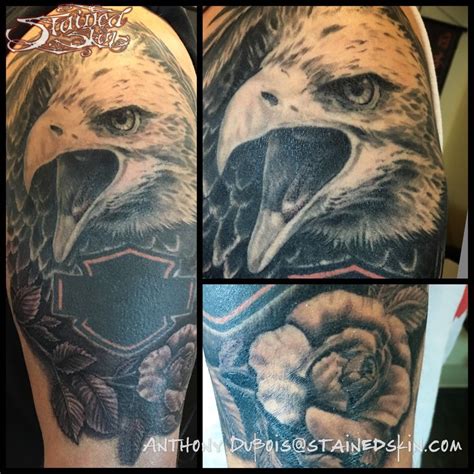 Eagle is also regarded as the lion of. anthonydubois:eagle-and-rose-tattoo-eagle-rose-black-and-grey