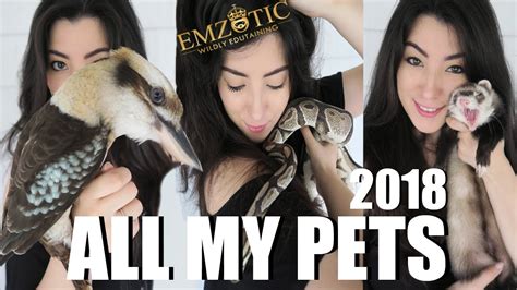 See more ideas about santee, pets, diy dog stuff. ALL OF MY PETS IN ONE VIDEO 2018 | EMZOTIC - YouTube
