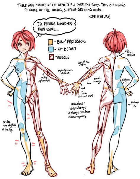 So i think that it's better that i show you the way that i really draw this stuff versus breaking it down in a way you can, you can go reference straight. 96 best Character Design: Body Types images on Pinterest ...