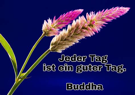 Menschen zitate gedichte zitate sprüche. Spiritualität, Gesundheit und Schönheit. Spirituelle ...