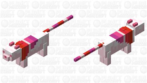 pride flag cats pt 1 (all black cat) - lesbian flag ...