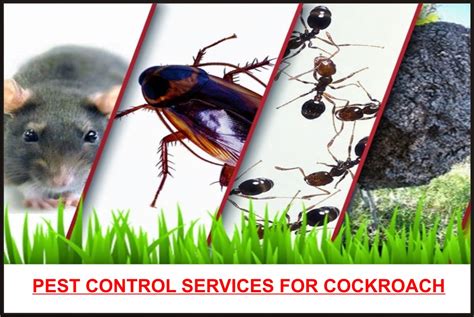 A to b pest control llc is your best choice for a professional, low cost pest control solution, servicing commercial and residential locations in the so whether it's a multi unit bed bug infestation or just a minor roach or rodent problem in your living or work space, a to b pest control llc is always. GEE PEST MANAGEMENT SERVICE PEST CONTROL EQUIPMENT SERVICE ...