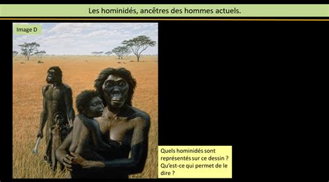 Thème n° 1 : La longue histoire de l'Humanité et des migrations. - Site ...