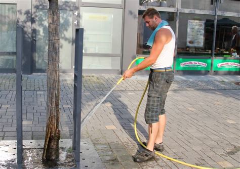 Schön wird es erstmal leider nicht. Wann wird es einmalwilder richtig regnen? Foto & Bild ...