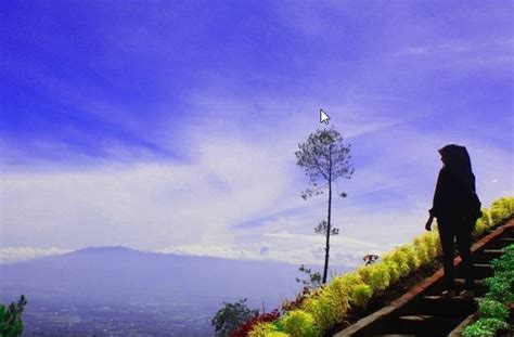 Taman yang terletak di jalan panorama, bukittinggi ini menawarkan keindahan taman dengan pemandangan alam ngarai sianok… sebagai destinasi wisata, bukittinggi menawarkan alam dan sejarah yang menarik untuk dijelajahi. Harga Tiket Masuk Dan Alamat Bukit Bulu Flower Garden ...