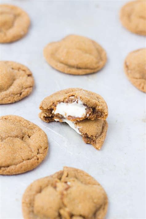 30 best freezable cookies · chocolate and vanilla swirl ice box cookies ~ freeze the log of dough itself, or freeze the individual baked cookies. Freezable Christmas Cookies : When it is time to serve or ...