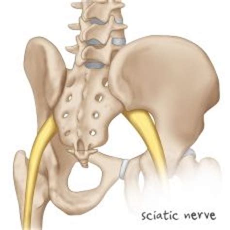 A lower back spasm is an involuntary contraction or tensing of the muscles in that area. Low Back Pain