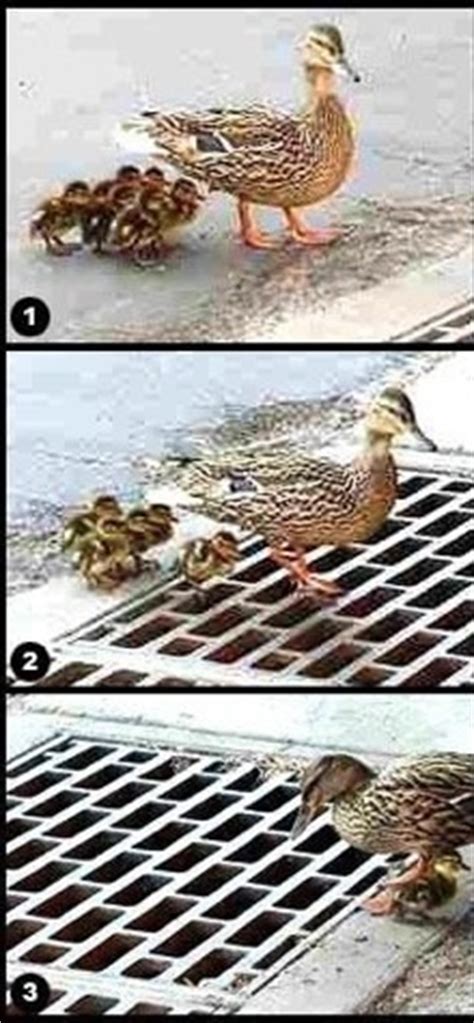 Good Parenting Skills are Developed through Trial & Error