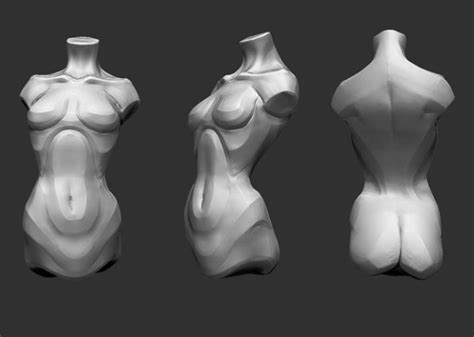 Human female torso anatomy 3d model available on turbo squid, the world's leading provider of digital 3d models for visualization, films, television, and games. 10947257_908361135849886_6190836898484966691_n.jpg (720× ...