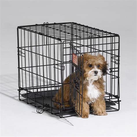 With transparent pricing, no exam fees and prescription pest solution savings, we make it easy to put your pet's health first. Midwest Container I-crate Black 18 Inch Single - 1518 ...