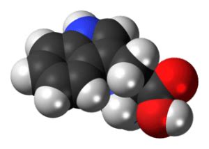 Die pharmazeutische industrie hat gerichtlich die wiederzulassung erstritten, im wesentlichen mit der argumentation, daß das ems nur nach einnahme von tryptophan eines japanischen herstellers aufgetreten war und daher vermutlich auf verunreinigungen in dessen produktion zurückzuführen sei. Tryptophan - Wirkung, Anwendung, Studien | Foodgroove.de ...