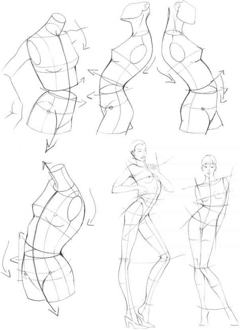 (this is in no way the definitive way to draw girls as. The Upper Body - Figure Drawing - Martel Fashion