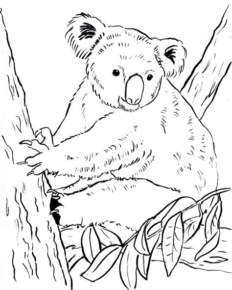 Koala 93 animals printable coloring pages. Printables Archives - Samantha Bell