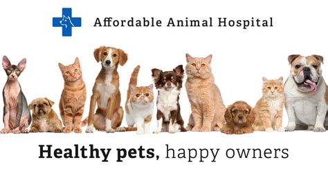 Our orange county affordable animal hospital offers low cost pet vaccines for both cats & dogs. Low Cost Pet Vaccines Silver Lake | Cat & Dog
