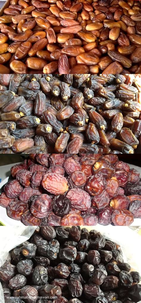 Bahan bahan untuk membuat sup kacang merah untuk menu sahur yang kumplit, sehat dan nikmat. :: Convert to Blogs ::: Kurma dan Manfaatnya bagi Kesehatan