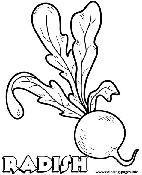Vegetable and fruit gift coloring guide to yummy veggies and fruits. Vegetable Radish Coloring Pages Printable