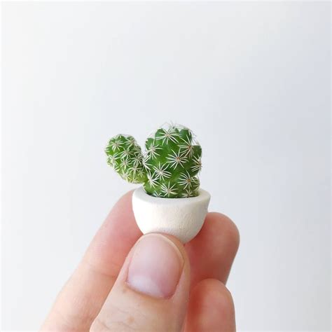 Add some whimsy to displays with mini cactus border trim. Mini Cactus and Mini Planter | Cute Micro Succulents You ...