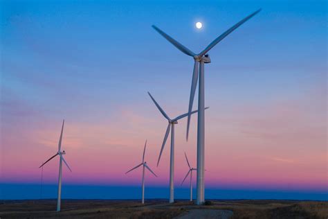The intensity of solar radiation differs across the globe. Wind Power Results In Very Few Bird Deaths Overall ...