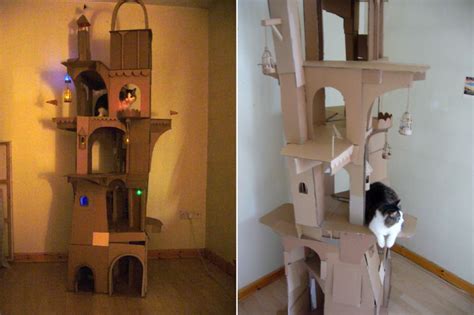 Then there is a lot to do with the cardboard boxes often lying around. This kitty lover built spacious DIY cathouse from cardboard