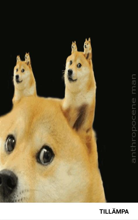 Doge skin roblox roblox free robux codes youtube new. Skin Roblox Doge