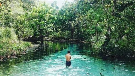 Perdagangan internasional adalah kegiatan ekonomi antar negara yang dilakukan. Kolam Bidadari Alor, Pesona Tersembunyi Di Tengah Hutan ...